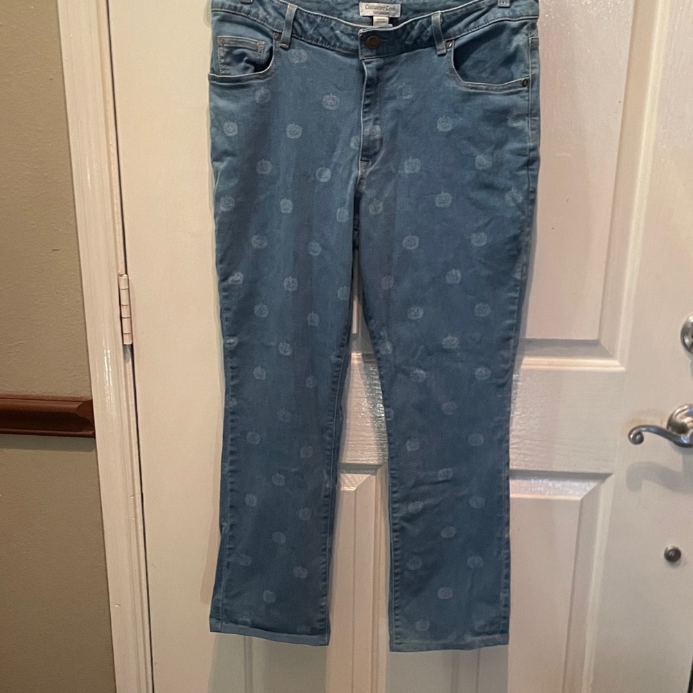 Coldwater Creek Rare Vintage pumpkin Print Stretch Denim Jeans 12 P